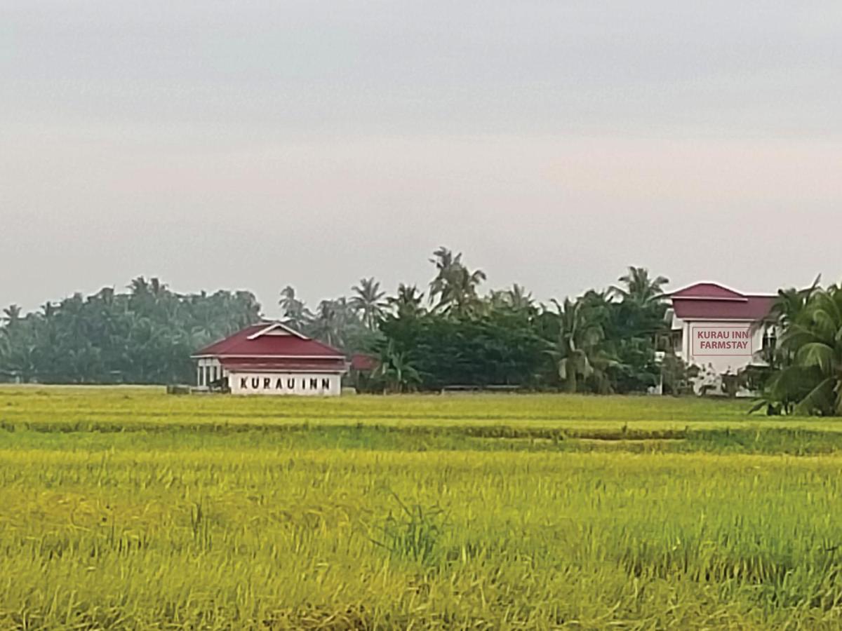 Kurau Inn Farmstay Kuala Kurau Экстерьер фото